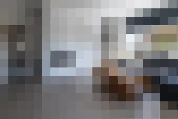 Eik 29 Leek thumbnail 14