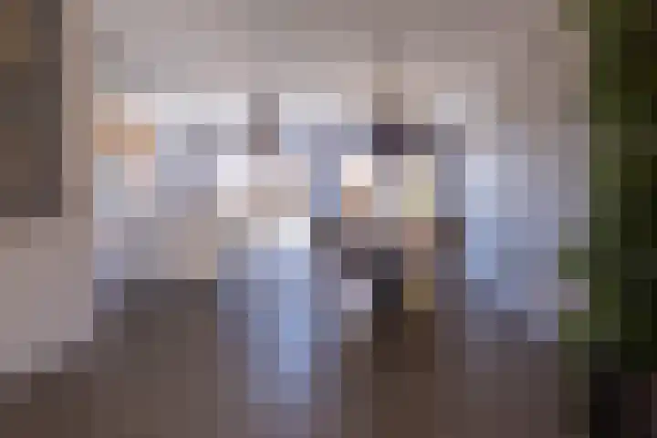 Eik 29 Leek thumbnail 17