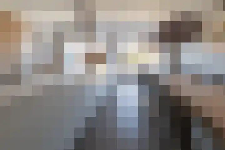 Eik 29 Leek thumbnail 20