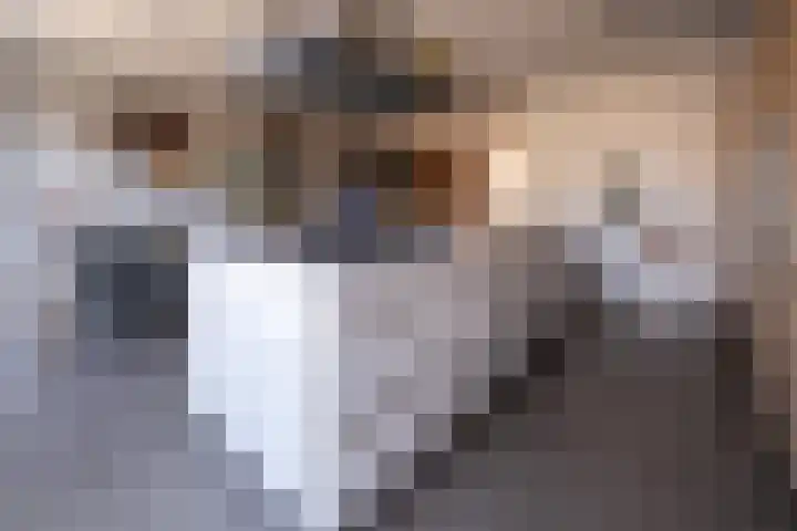 Eik 29 Leek thumbnail 21
