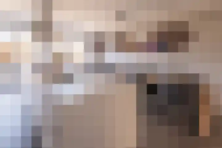 Eik 29 Leek thumbnail 23