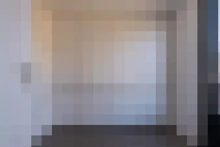 Eik 29 Leek thumbnail 24