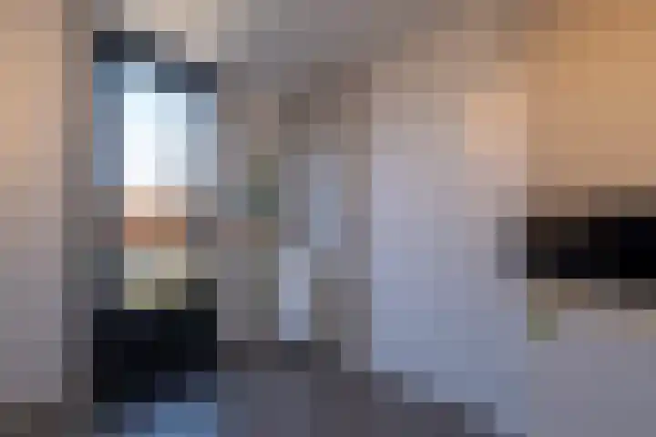 Eik 29 Leek thumbnail 25
