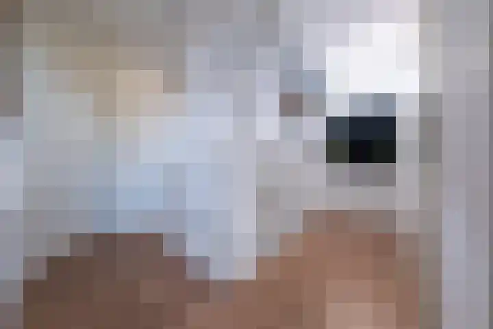 Eik 29 Leek thumbnail 26