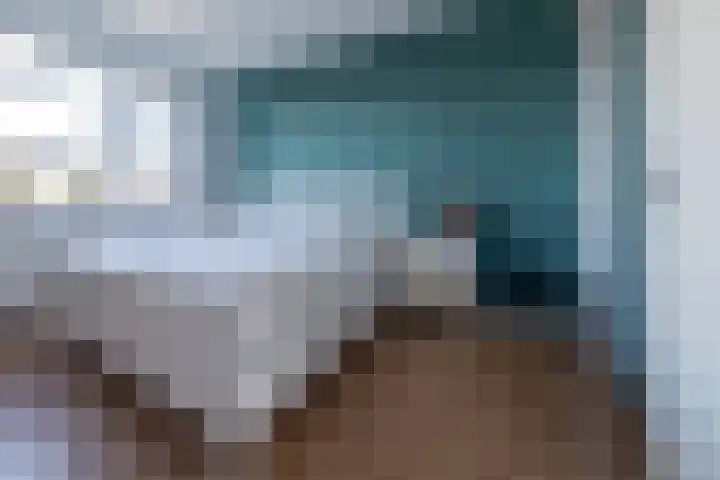 Eik 29 Leek thumbnail 27