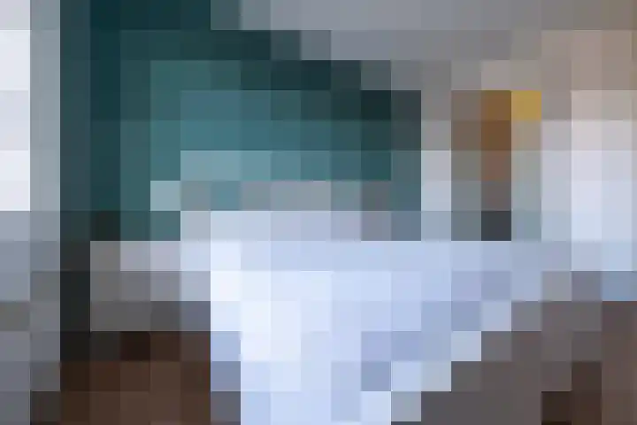 Eik 29 Leek thumbnail 28