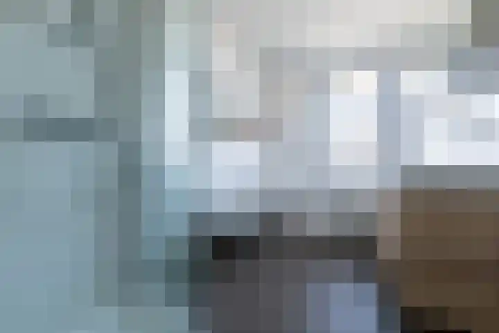 Eik 29 Leek thumbnail 34