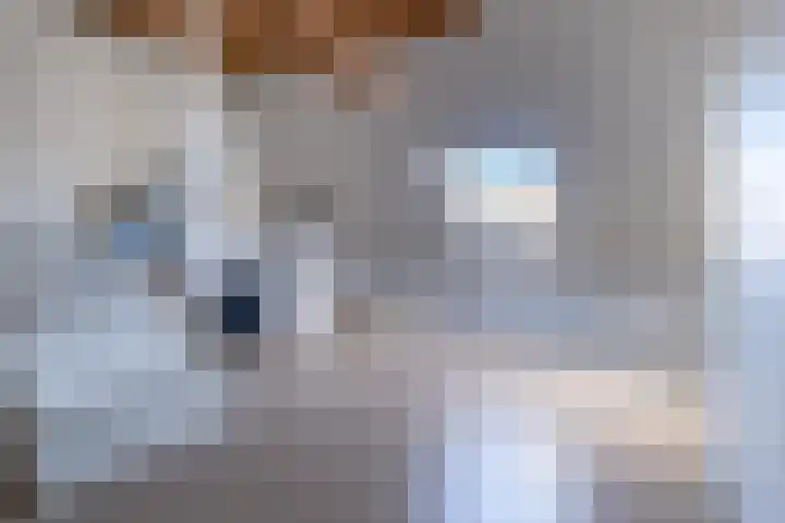 Eik 29 Leek thumbnail 36