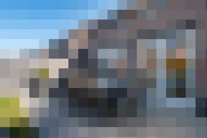 Eik 29 Leek thumbnail 40