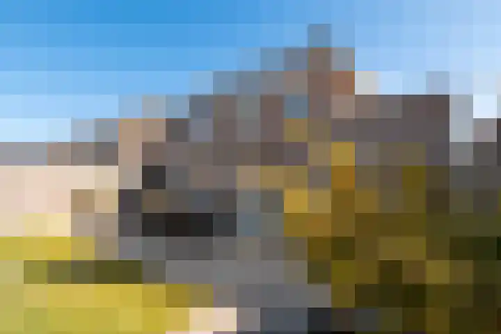 Eik 29 Leek thumbnail 41