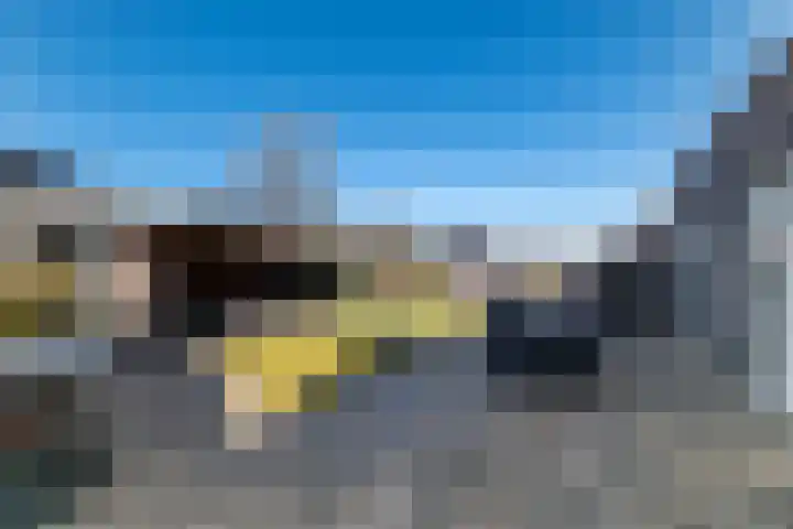Eik 29 Leek thumbnail 42