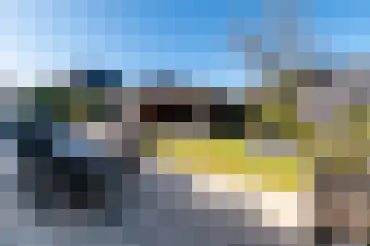 Eik 29 Leek thumbnail 44