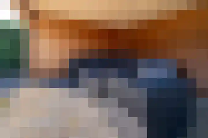 Eik 29 Leek thumbnail 45