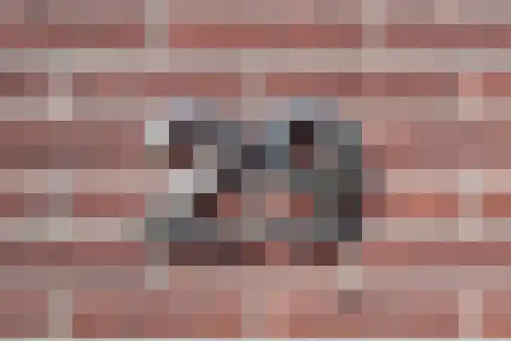 Eik 29 Leek thumbnail 5