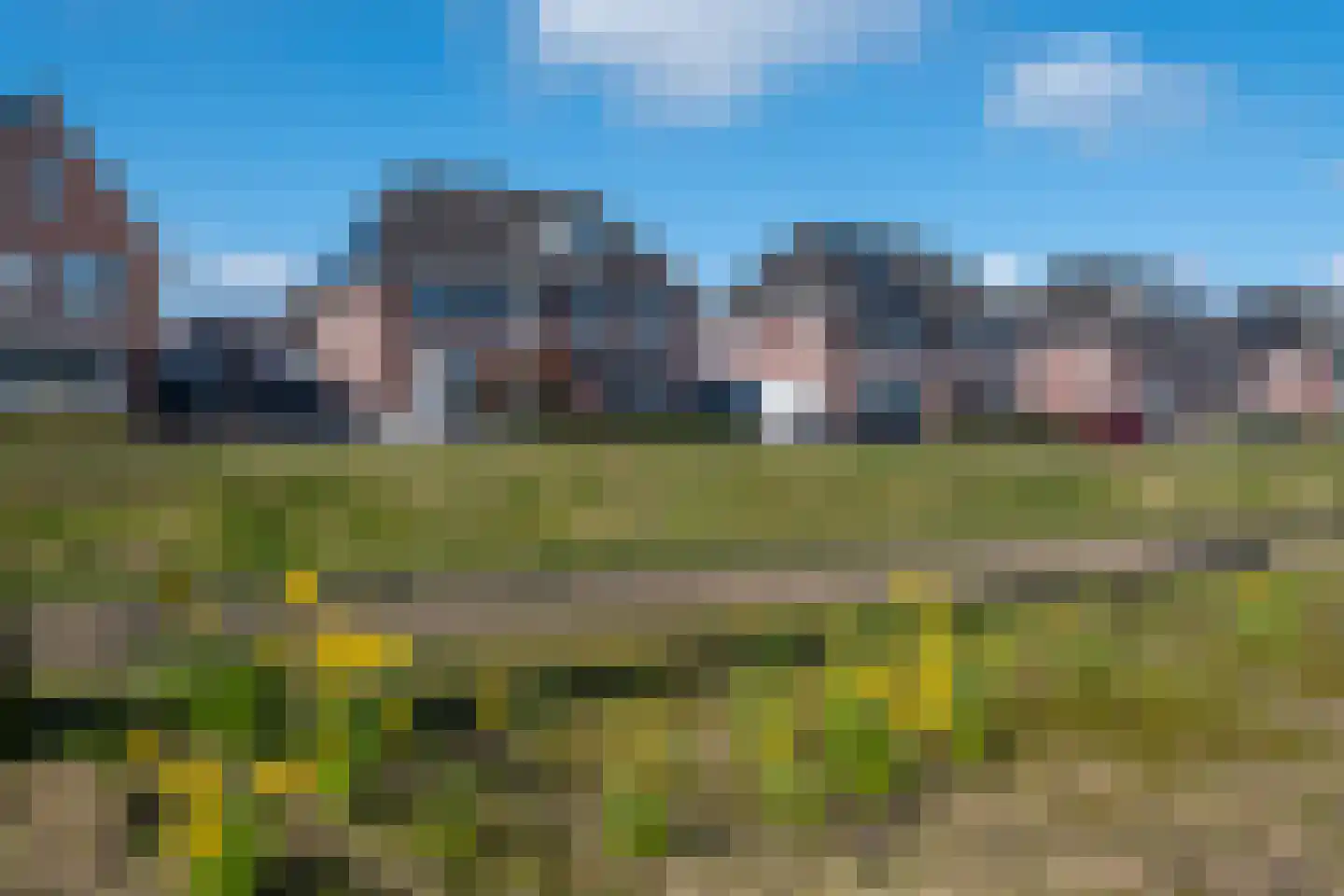 Eik 29 Leek thumbnail 51