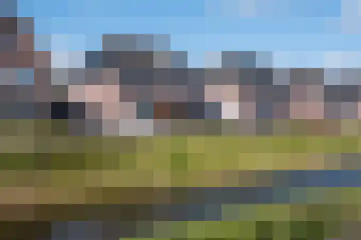 Eik 29 Leek thumbnail 6