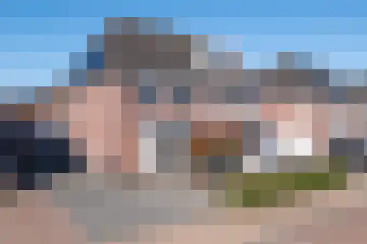 Eik 29 Leek thumbnail 7