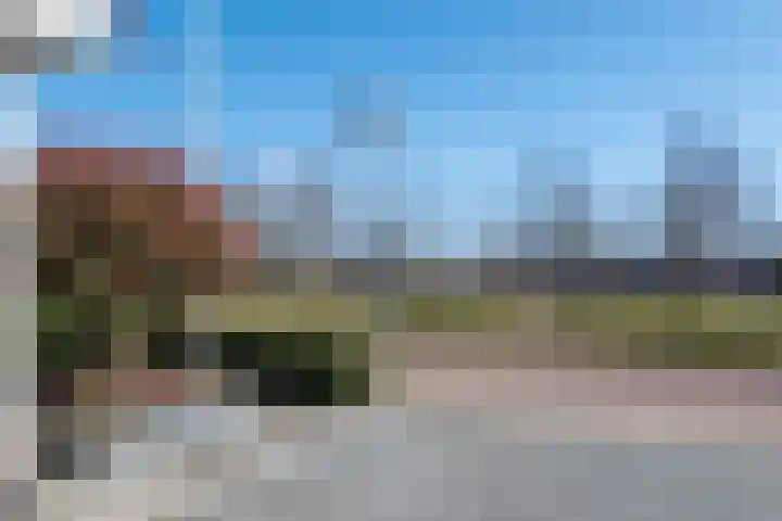 Eik 29 Leek thumbnail 9
