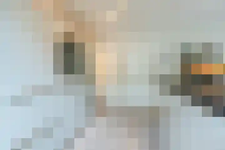 Eik 31 Best thumbnail 18