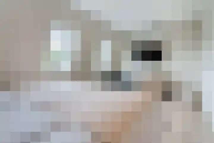 Eik 31 Best thumbnail 24