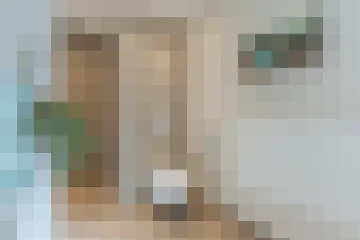 Eik 31 Best thumbnail 31