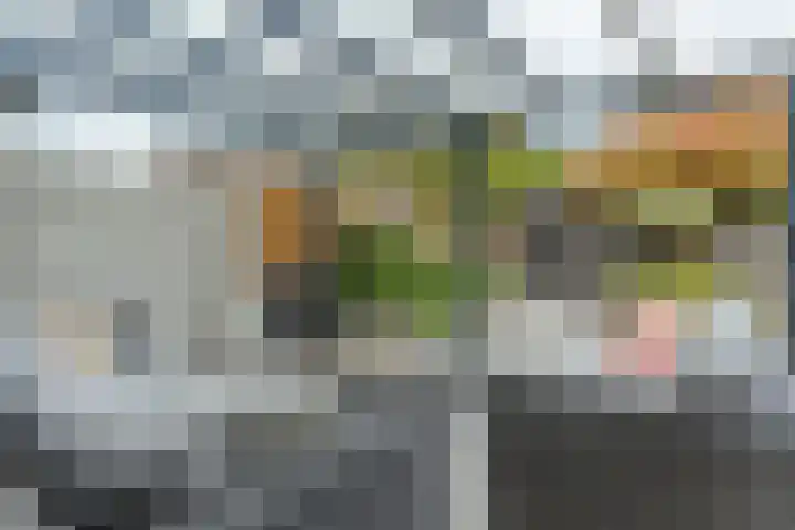 Eik 31 Best thumbnail 36