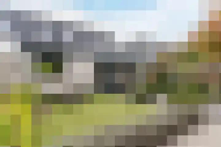 Eik 31 Best thumbnail 37