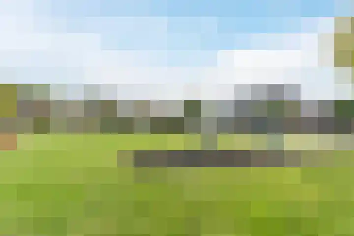Eik 31 Best thumbnail 41