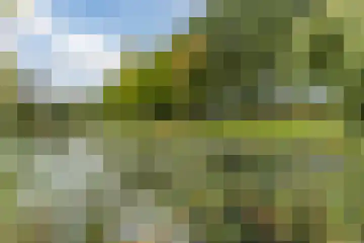 Eik 31 Best thumbnail 42