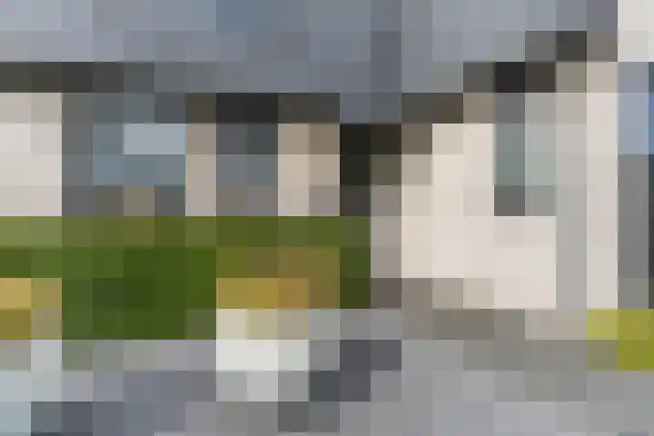 Eik 31 Best thumbnail 7