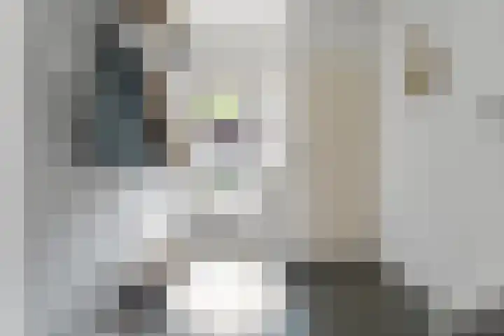 Eikenbaan 16 Zevenaar thumbnail 20