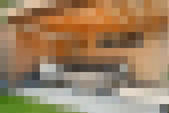 Eikenbaan 16 Zevenaar thumbnail 36