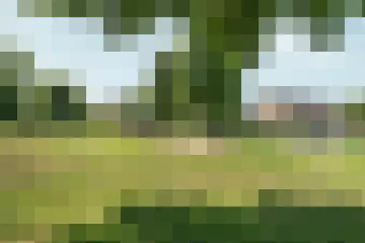Eikenbaan 16 Zevenaar thumbnail 44