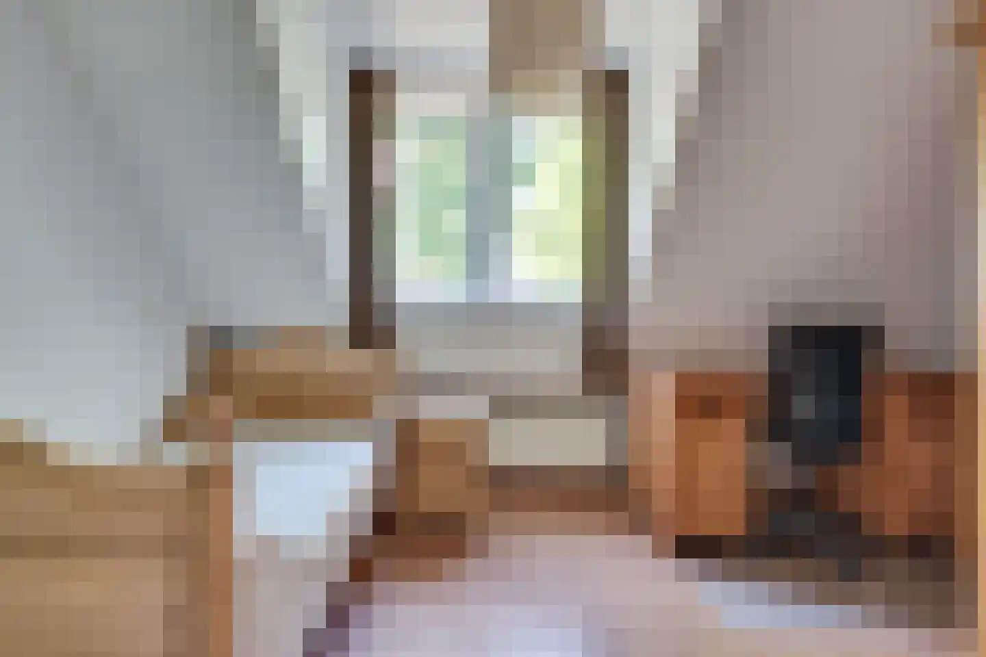 Eikenbeemd 12 Diessen thumbnail 25
