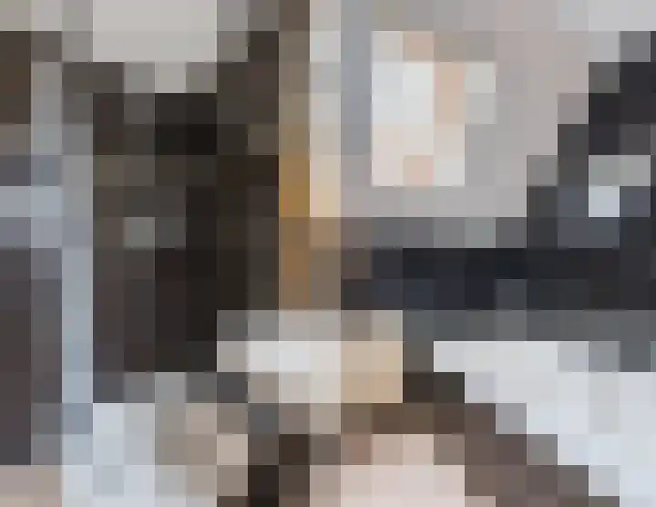 Eikenbeemd 35 Diessen thumbnail 16