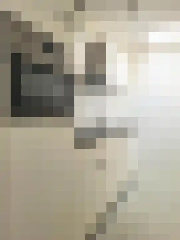 Eikendonck 135 Vught thumbnail 12