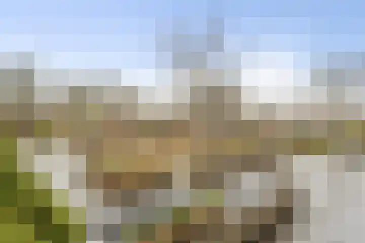 Eikendonck 135 Vught thumbnail 20