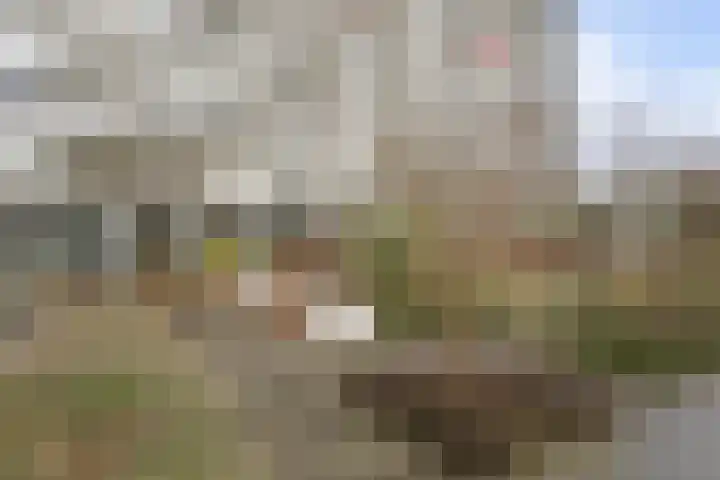 Eikendonck 135 Vught thumbnail 21