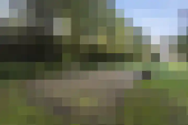 Eikendonck 135 Vught thumbnail 29