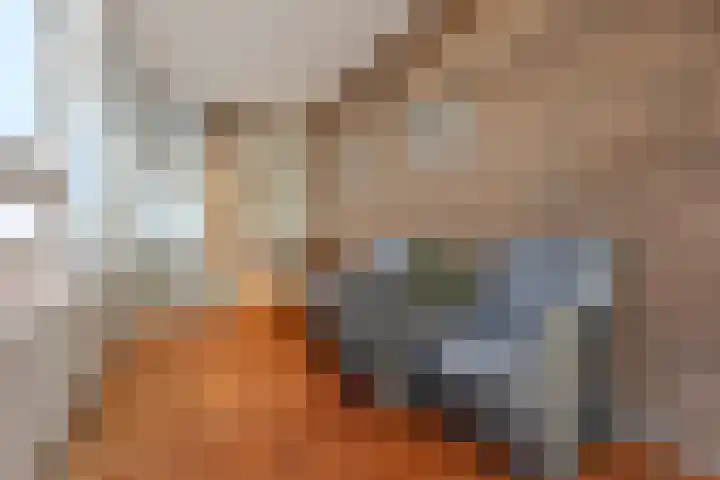 Eikendonck 76 Vught thumbnail 38