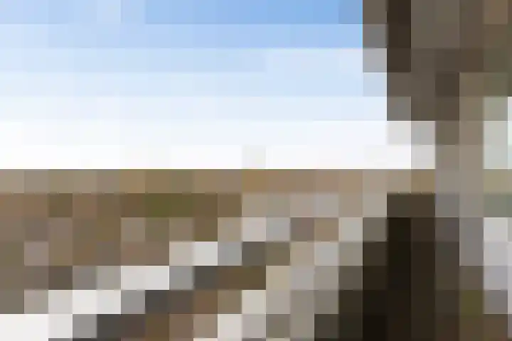 Eikendonck 76 Vught thumbnail 39