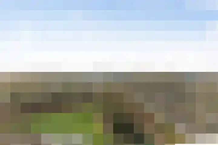 Eikendonck 76 Vught thumbnail 42