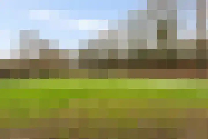 Eikendonck 76 Vught thumbnail 46