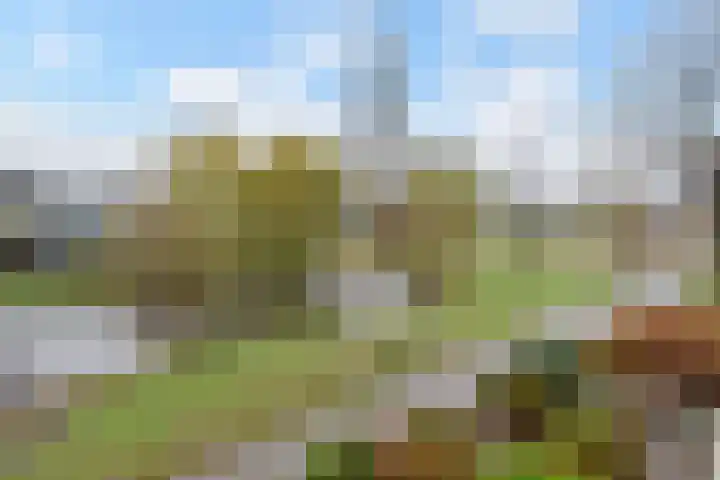 Eikendreef 12 Nootdorp thumbnail 39