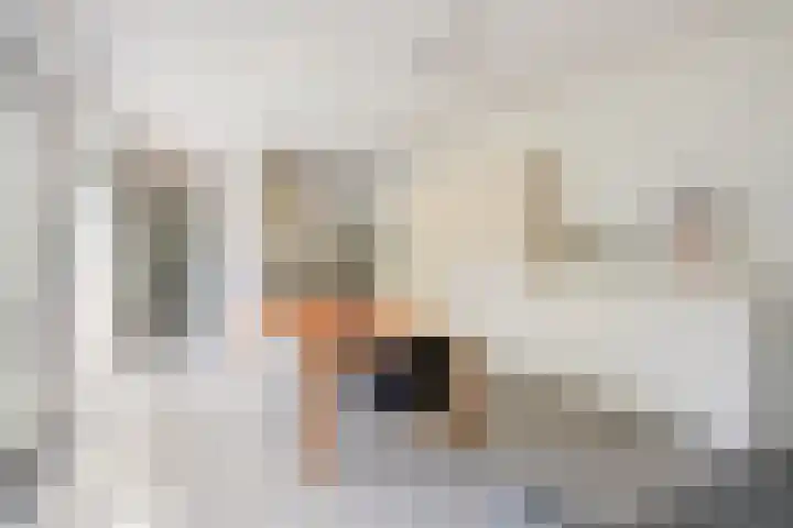 Eikendreef 13 Oss thumbnail 16