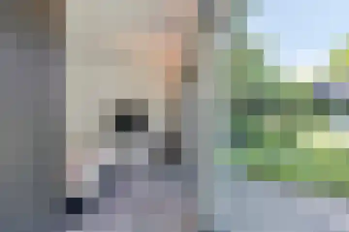 Eikendreef 13 Oss thumbnail 22