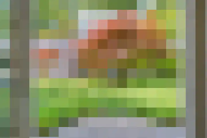 Eikendreef 13 Oss thumbnail 23
