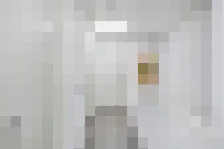 Eikendreef 13 Oss thumbnail 28