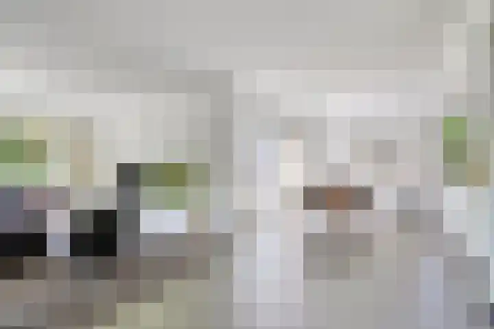 Eikendreef 13 Oss thumbnail 4