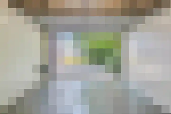 Eikendreef 13 Oss thumbnail 41